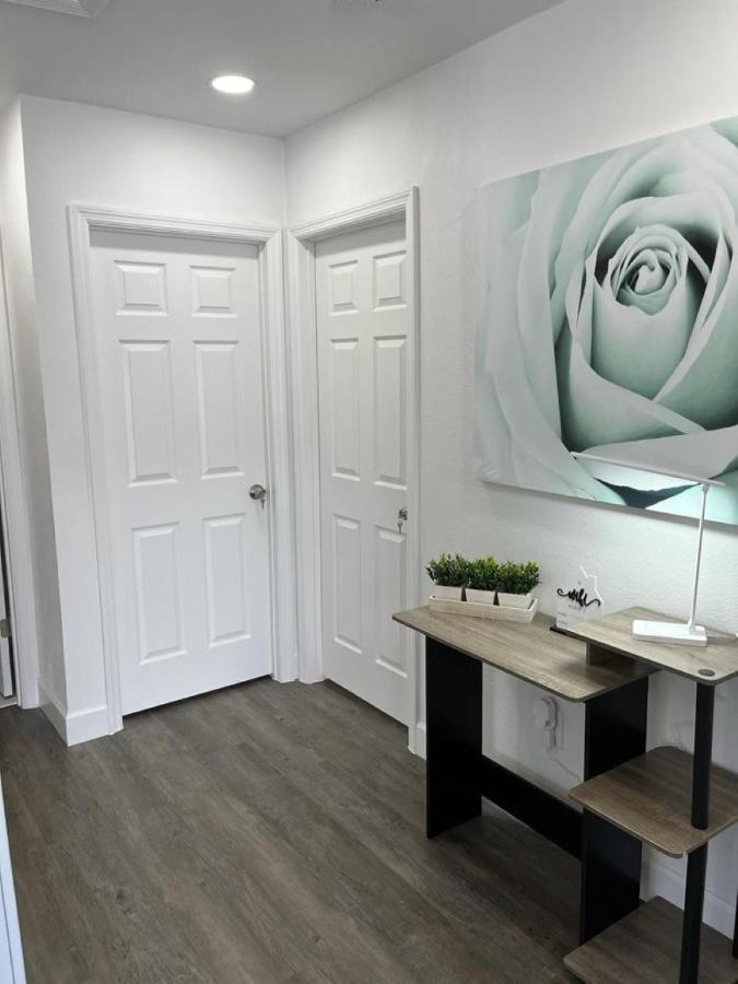 Incredible Comfortable Apartments Near The Airport And Beaches 탬파 외부 사진