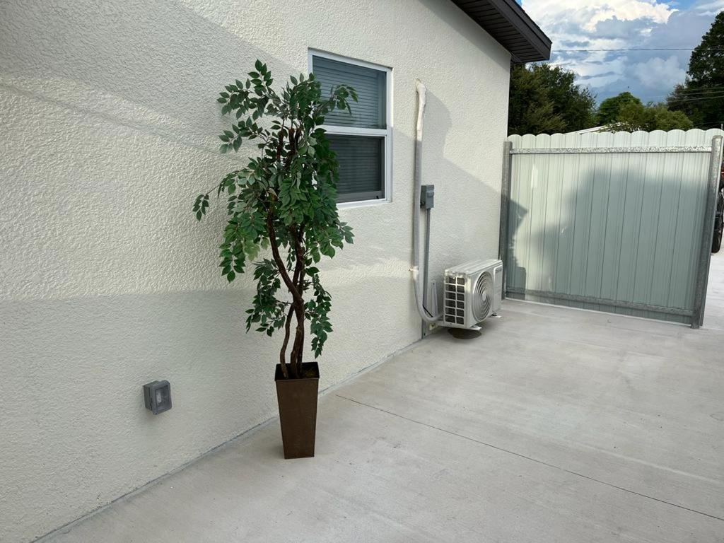 Incredible Comfortable Apartments Near The Airport And Beaches 탬파 외부 사진